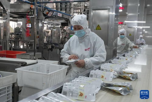 双城记 河北遵化深加工赋能乡村，上海软件驱动产业升级