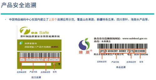 顺德区举办GS1标准主题讲座，以“码”赋能助推企业高质量发展
