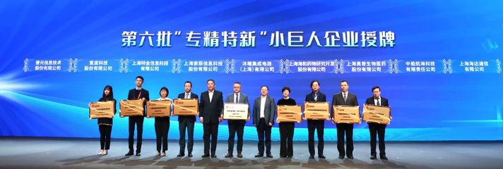 中建集团新添4家国家级专精特新“小巨人”企业 上海软件开发领域的创新突破